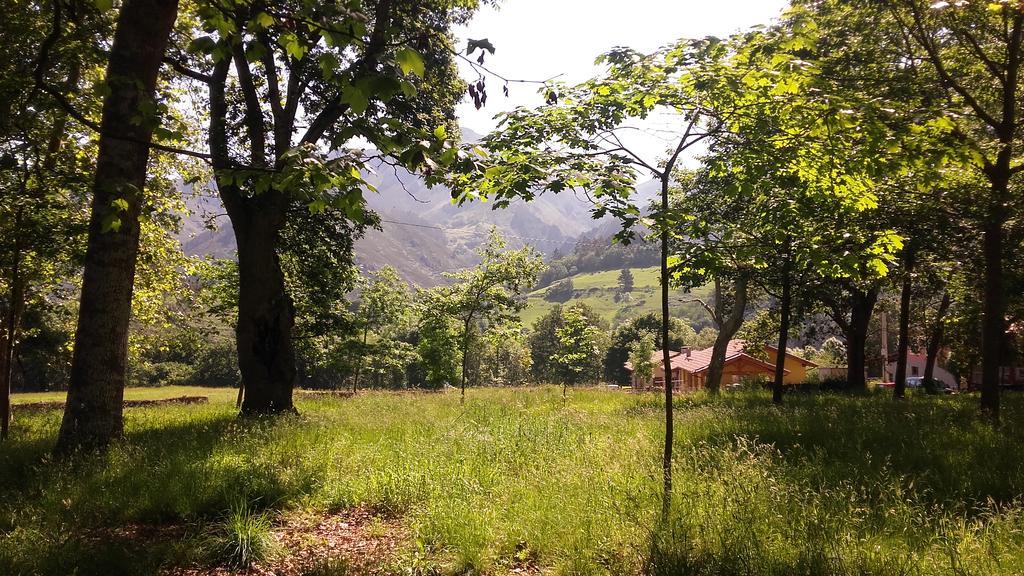 Onís Casas Rurales Entrecastanos المظهر الخارجي الصورة